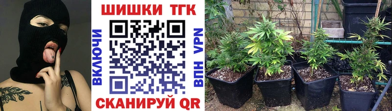Где купить Светогорск Экстази  Меф  Гашиш  Каннабис  СК  Бутират 