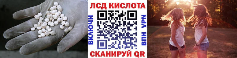 kraken зеркало  купить   Светогорск  Лсд 25 экстази ecstasy 