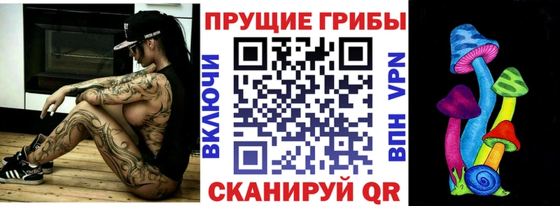 Галлюциногенные грибы Psilocybine cubensis  Светогорск 